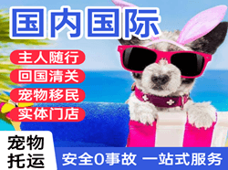 重庆仙女山航空邮寄国际宠物托运 【国